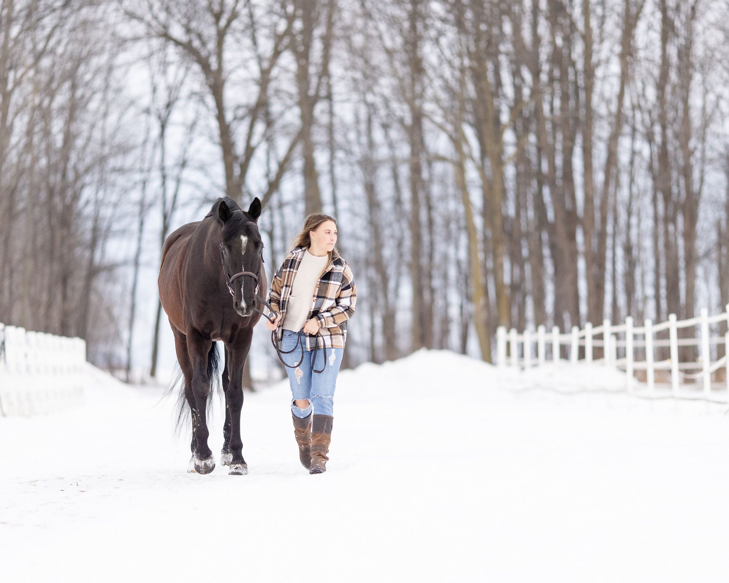 Winter Equine Photography Green Bay WI