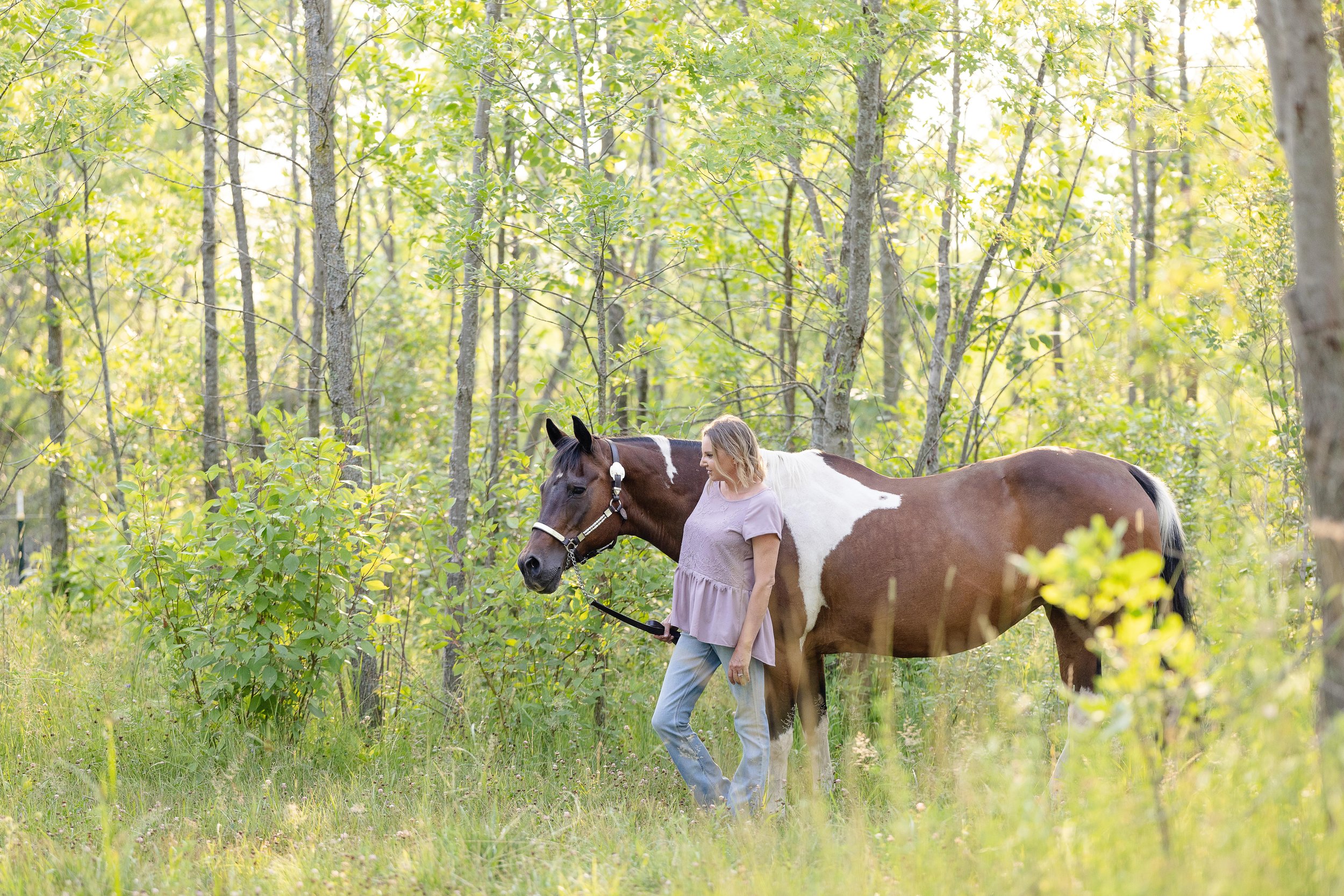 Equine Photography Door County, WI