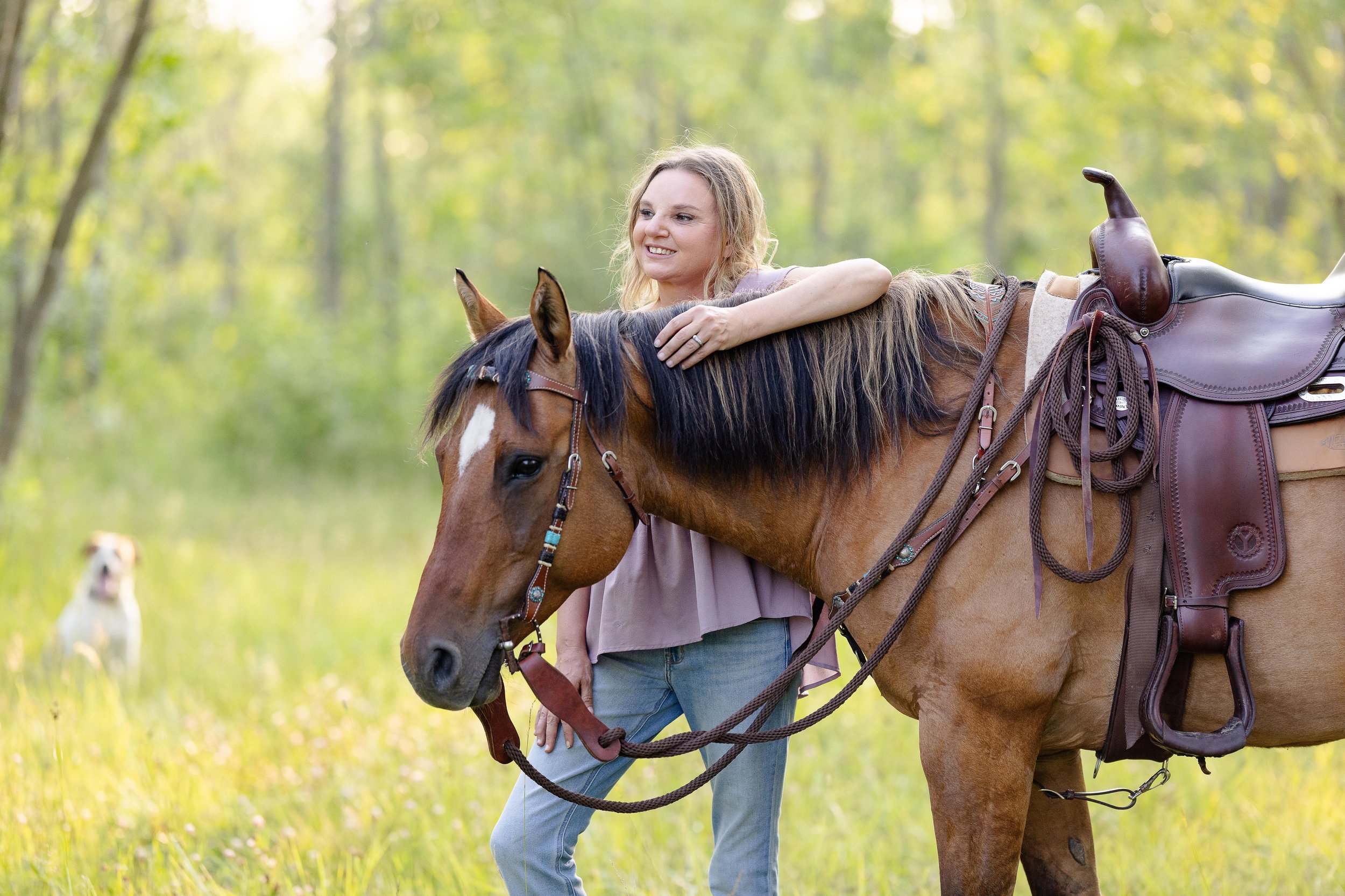 Equine Photography Door County, WI