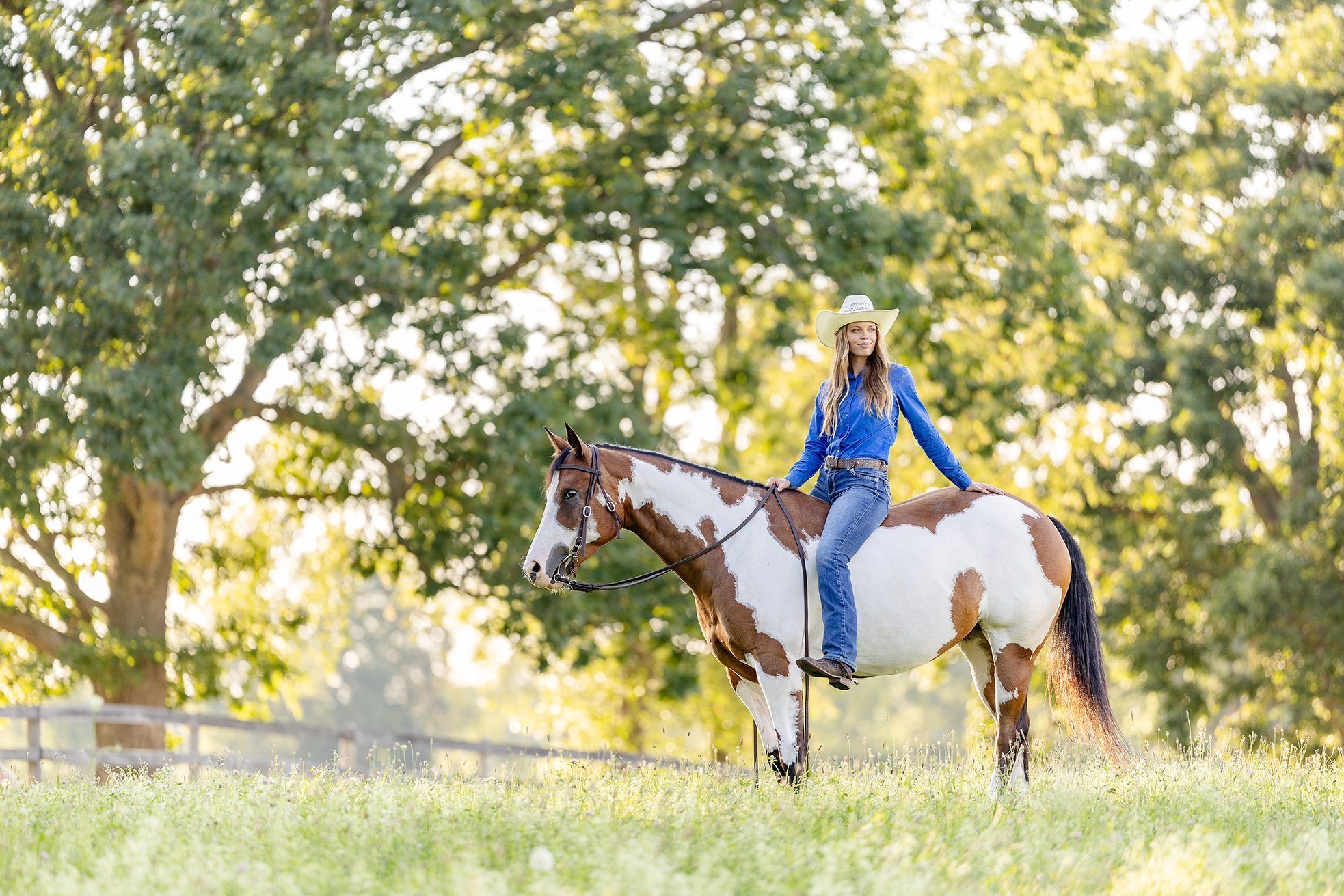 Michigan Equine Photographer