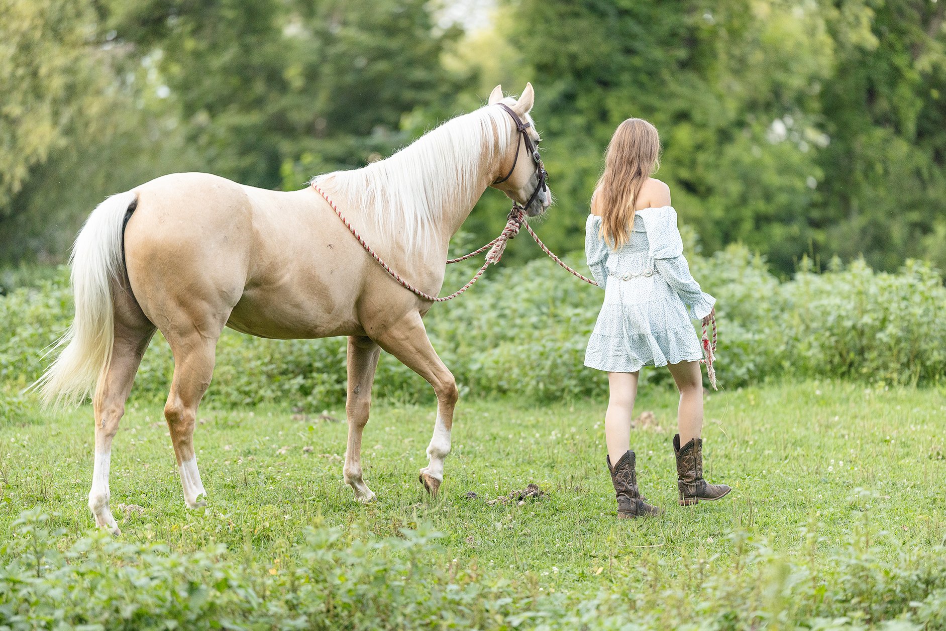 Michigan Equine Photographer