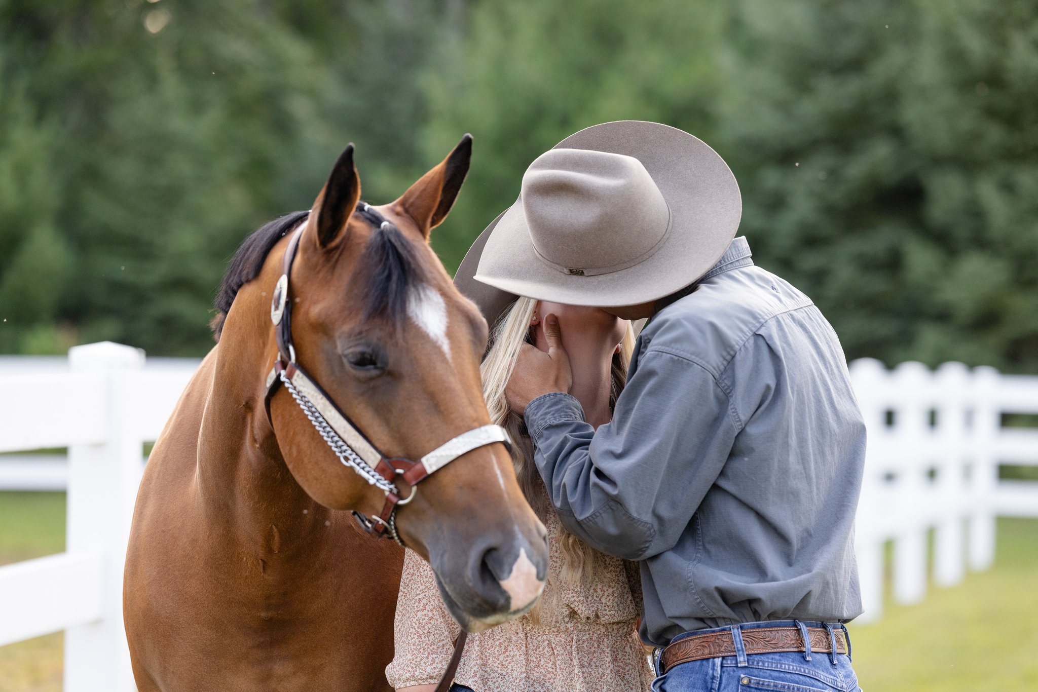 Wisconsin Equine Photographer