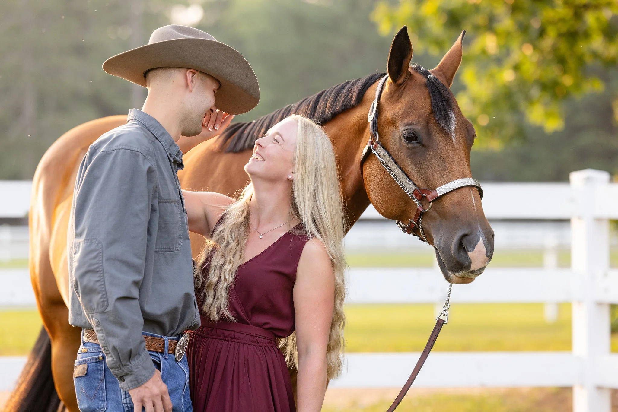 Wisconsin Equine Photographer