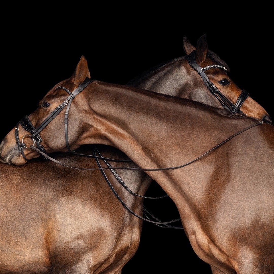 Witnessing two horses share a heartfelt hug reminds us of the beautiful bond they share with not only us, but each other as well ❤️🐴

#CopperArrowPhotography #EquestrianPhotography #WisconsinHorses #EquinePhotography #TravelingHorsePhotography #Equi