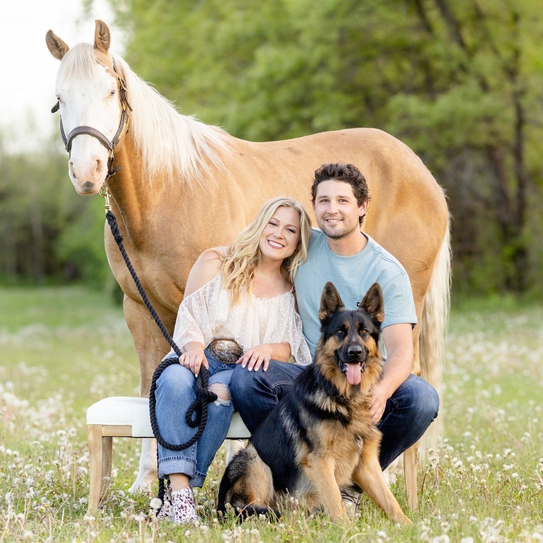 Let's Talk Pets! We all adore chatting about our furry friends. Drop a comment below and let me know how many pets make up your family! 🐶🐱🐰🐴 

#CopperArrowPhotography #EquestrianPhotography #EquinePortrait #EquestrianBlogger #GreenBayPhotographer