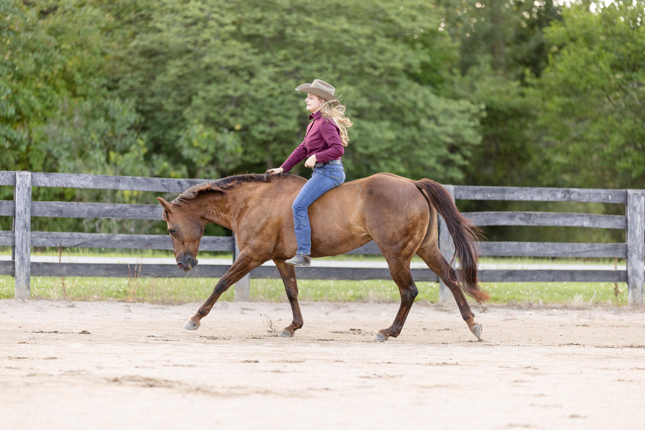 Senior Session with horses in Findlay, OH