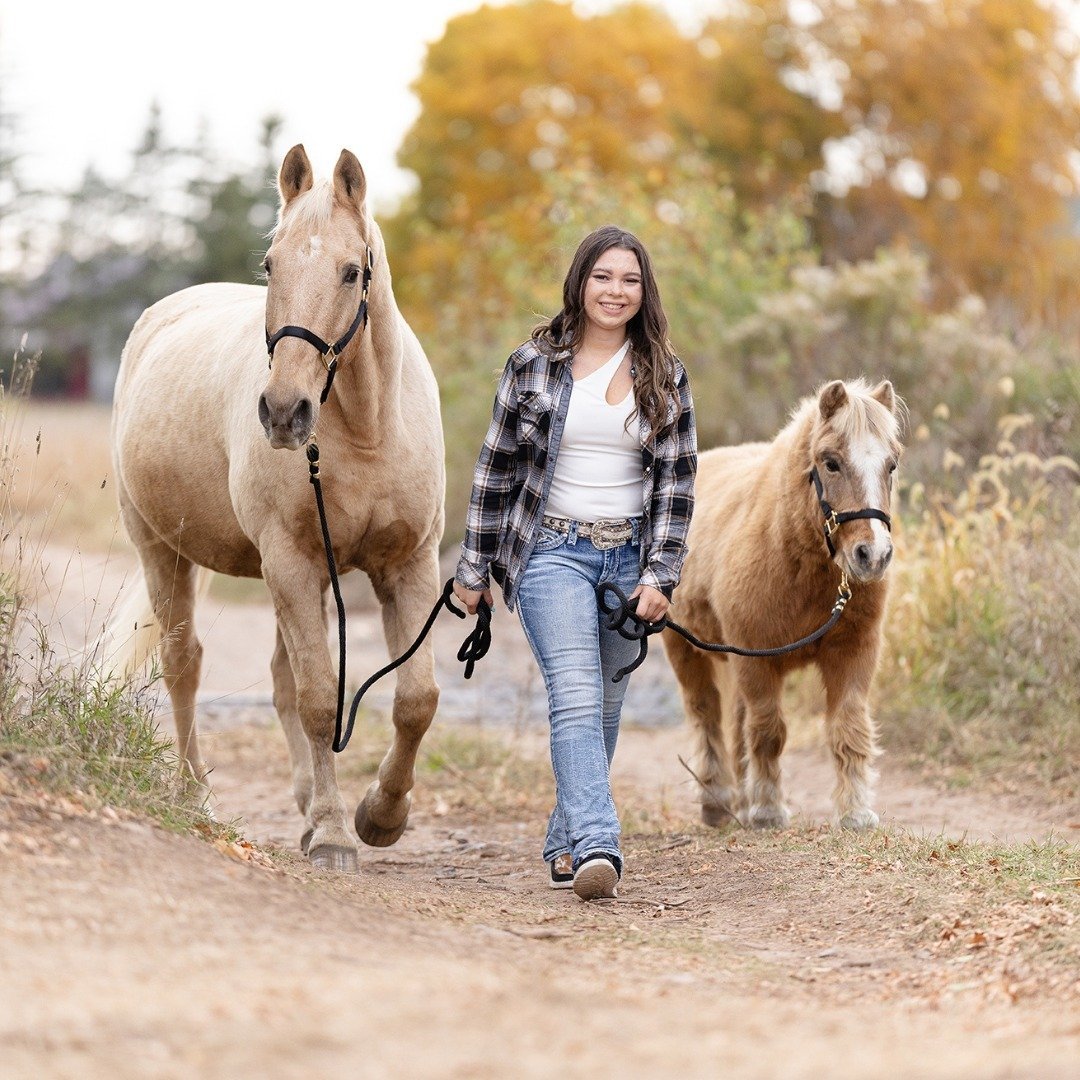 🐴🌟 Tall and majestic or stout and charming? It's a tough choice! Let me know in the comments which equine companion steals your heart &ndash; the graceful giants or the adorable ponies!

#EquestrianPhotography #EquineLife #HorseLife #GreenBayPhotog