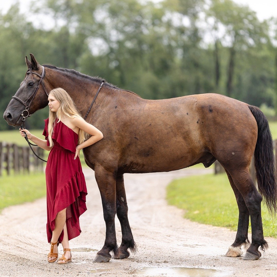 📸💃 Let's add a pop of color to your photoshoot! Whether you're rocking a bold red dress or channeling your inner equestrian chic, I've got you covered. Together, we'll find the perfect outfit to complement your horse's beauty and make your photosho