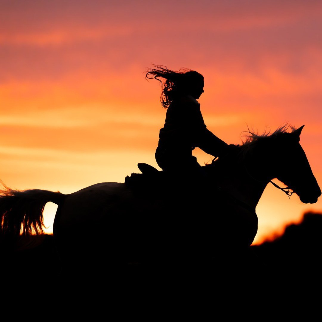 Riding off into the sunset and leaving worries behind. Here's to those magical moments on horseback where the world fades away! 

#CopperArrowPhotography #EquestrianPhotography #WisconsinPhotograpgher #WellingtonFLphotographer #TravelingHorsePhotogra