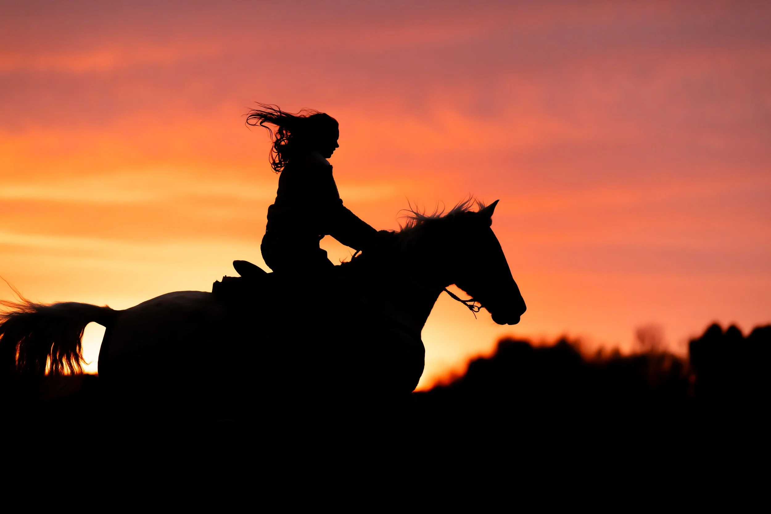 High School Senior Photos with horses