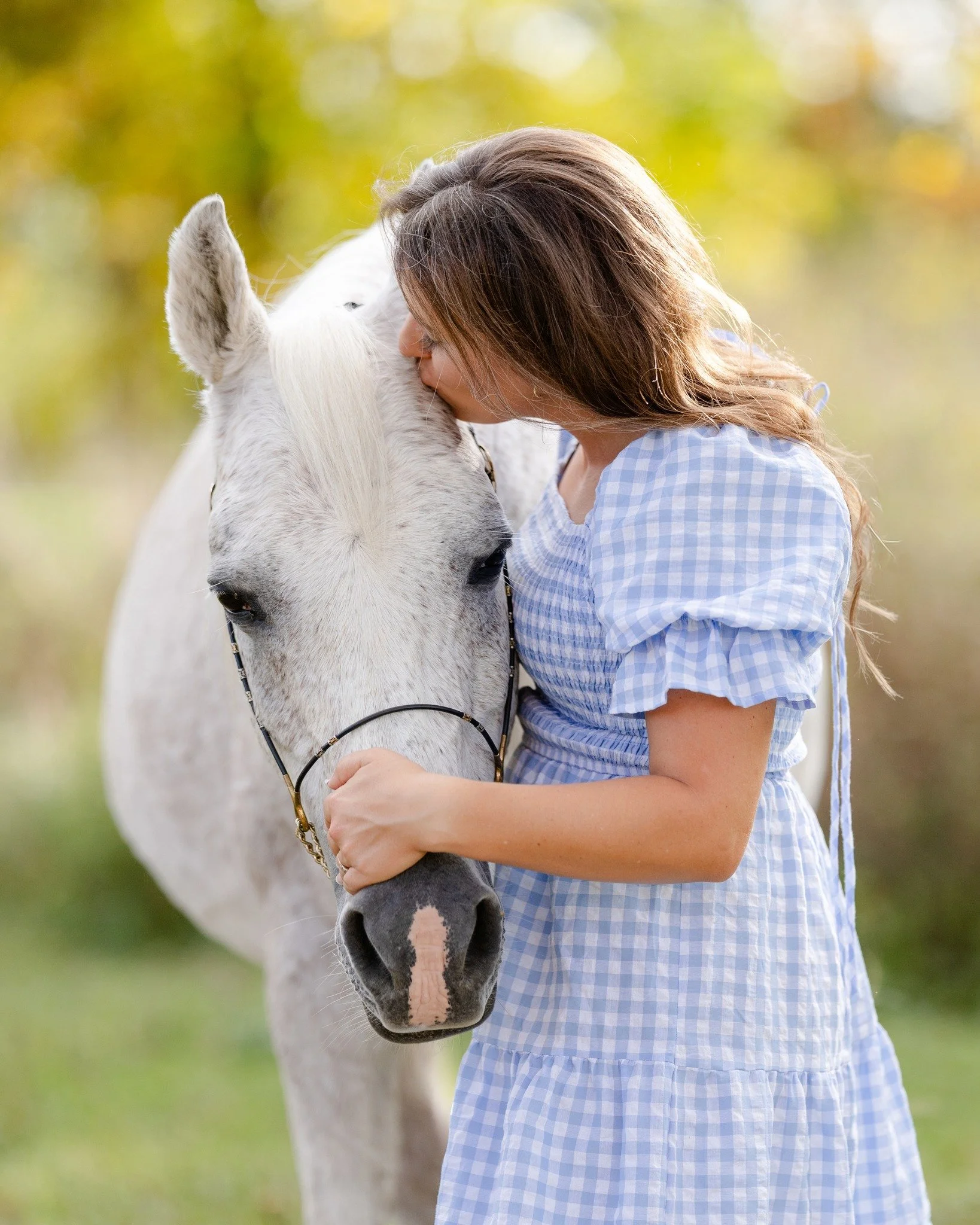 There are some horses who weave themselves into the story of your life, and Sabah is one of those horses for Caitlin.

He&rsquo;s been with her since he was a baby. Twenty-three years of memories, milestones, trail rides, kids, chaos, comfort, and qu