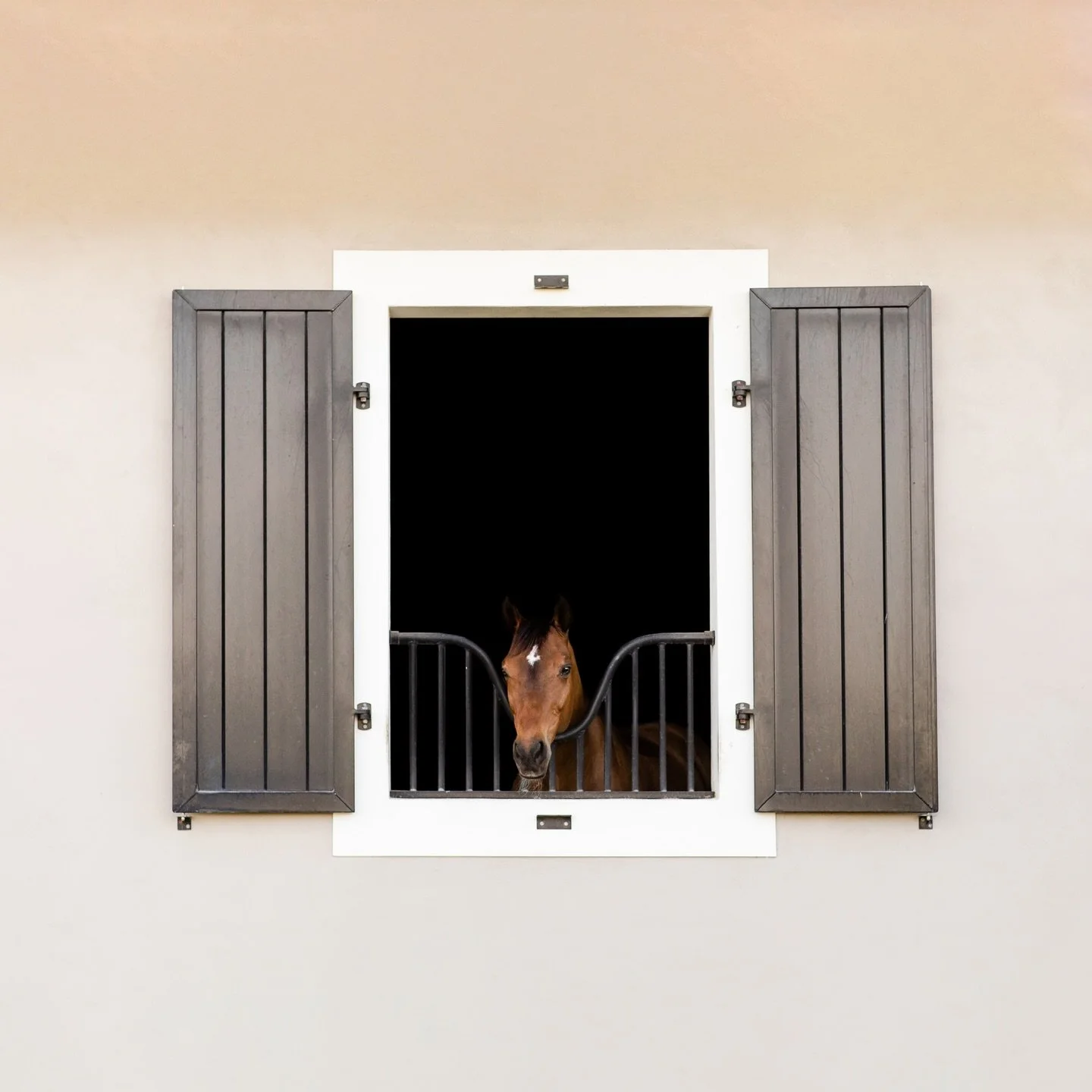 Social media can be loud. It often feels like a constant chase. Chasing what to post for more views, chasing the latest algorithm, chasing numbers, followers, and engagement. For a long time, success online has been measured by how visible you can be