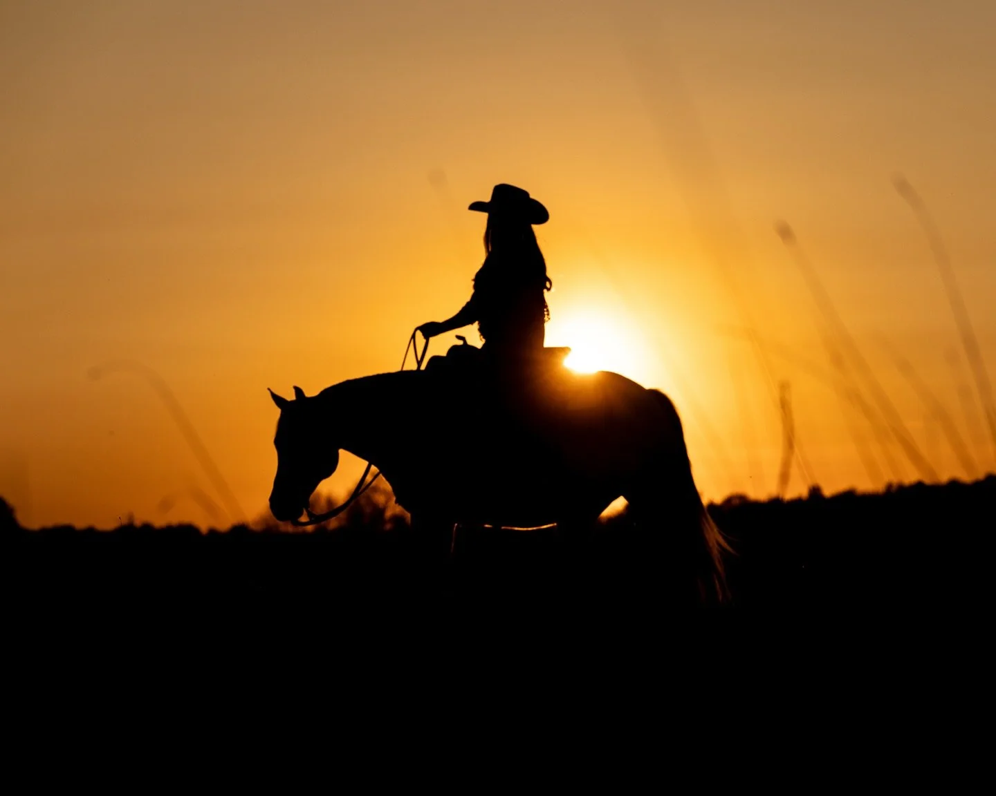 I&rsquo;ve been riding my entire life.
And somehow, in my 30s, I feel like I&rsquo;m starting over.

I started at five. Had formal lessons until I was about nine. After that, I was mostly on my own.

When I graduated high school, I sold my horses. Fo