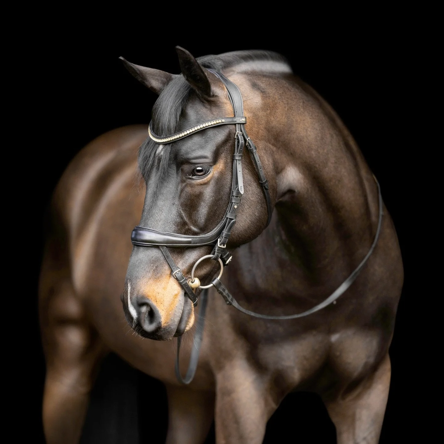 Timeless will always outlast trendy.