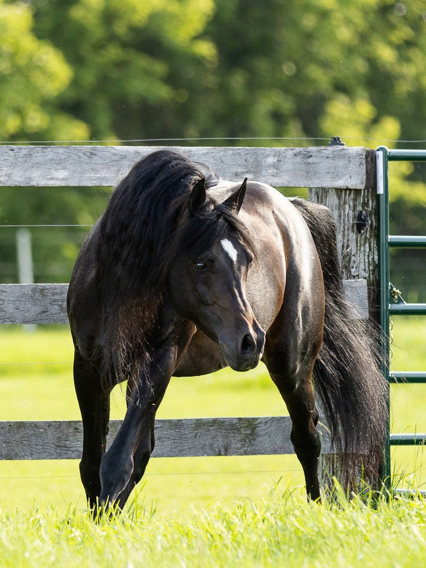 Strength doesn&rsquo;t need to announce itself.