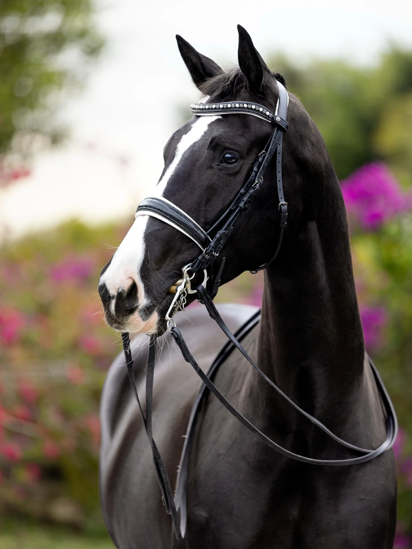 If you could explain the feeling of loving horses to someone who&rsquo;s never experienced it&hellip;

What would you say?

Because moments like this are the reason so many of us never walk away.