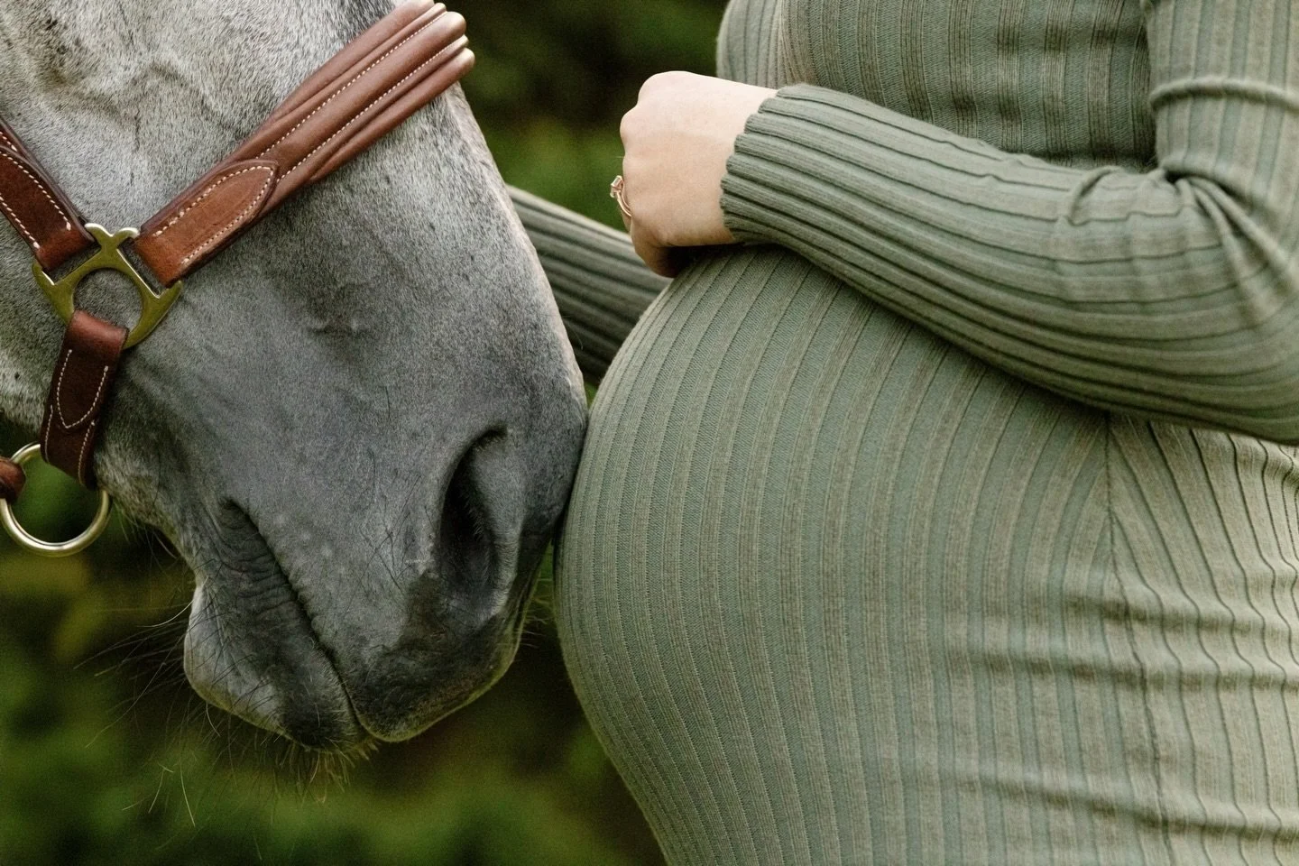 Already best friends&hellip; they just haven&rsquo;t met yet 🤍

There&rsquo;s something so special about this moment. A quiet little introduction, a soft nuzzle, like they already know. Like this bond is going to be something really, really special.