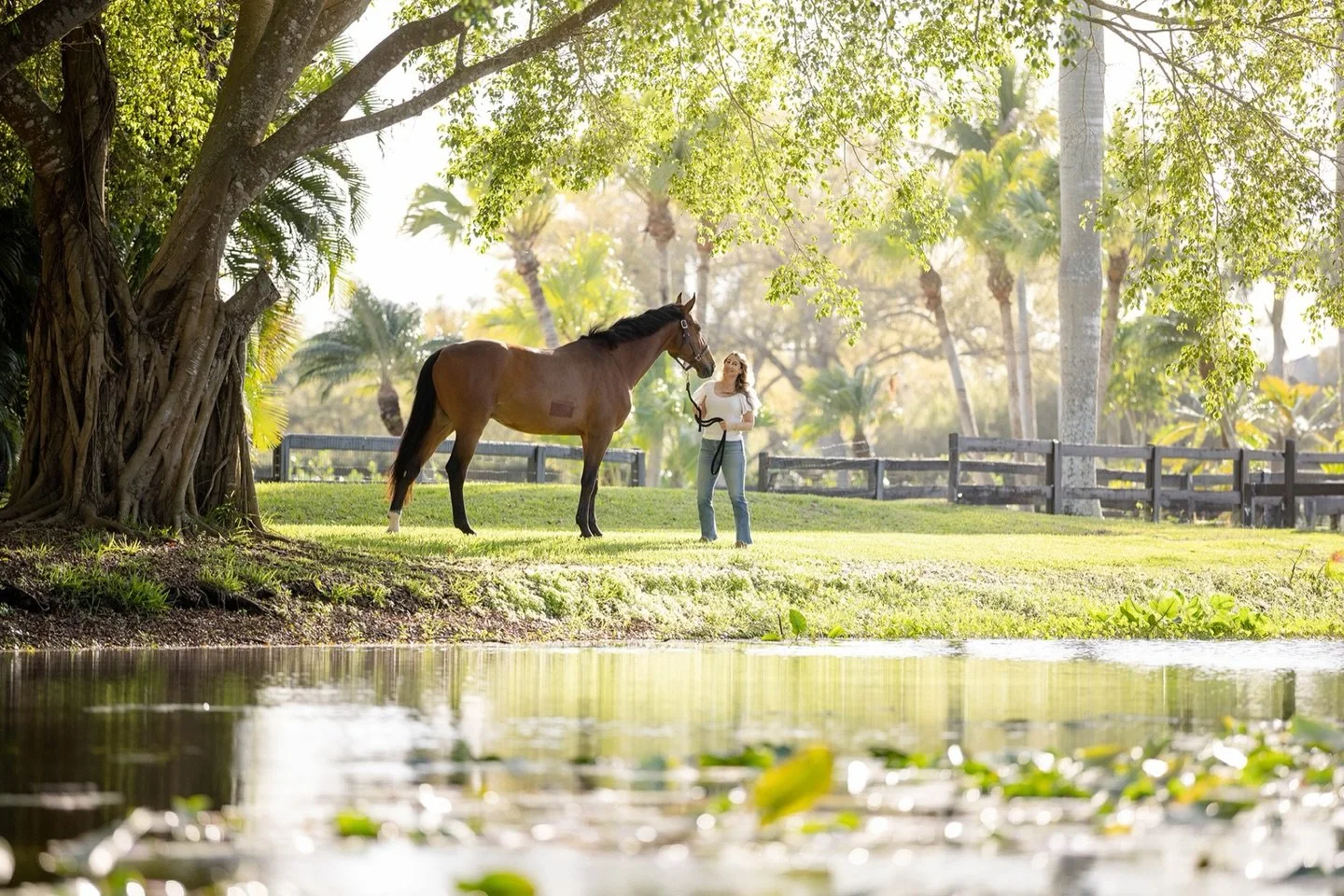 This is what it feels like when you&rsquo;ve built a life around what you love.

Private spaces.
Unrushed days.
And a horse that meets you exactly where you are.

Wellington, at its finest.