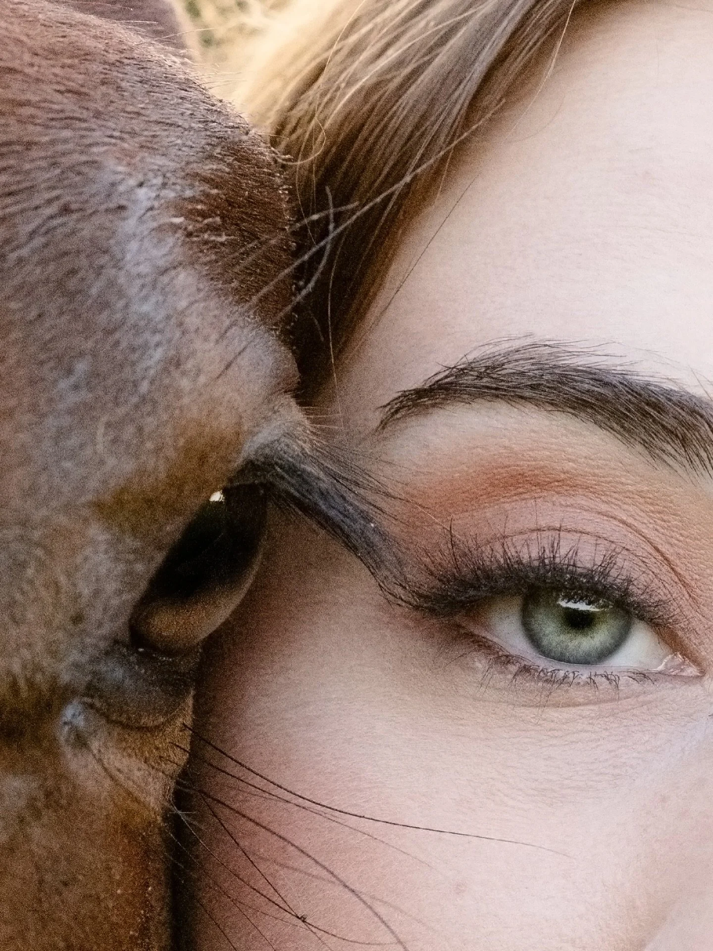 This is a hard shot to get and it&rsquo;s never something you can force.
Would you do this with your horse?