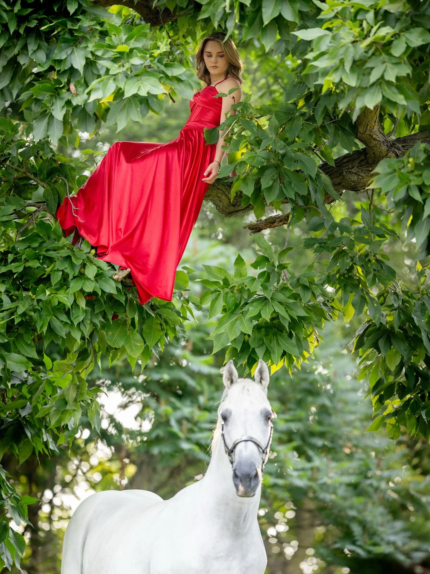 Would you climb the tree for this shot&hellip; or stay grounded?