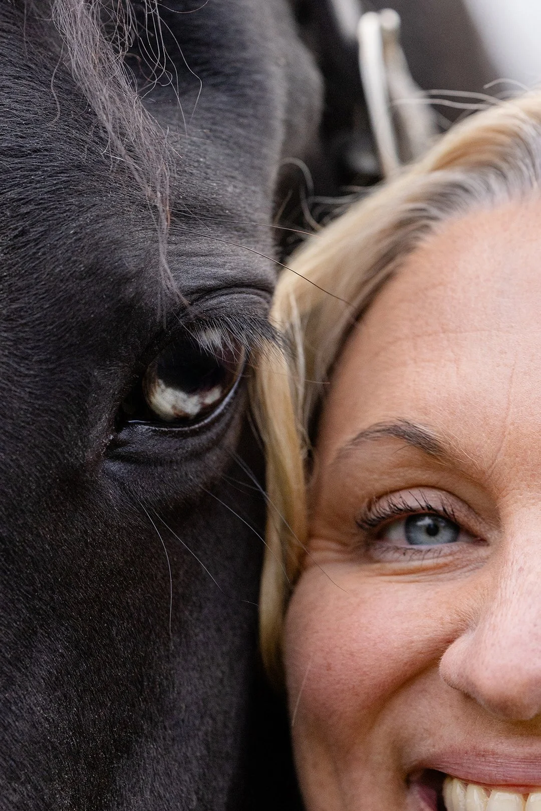 An intimate close-up showing Julie and her black dressage horse cheek to cheek during a horse and rider portrait session in Wisconsin.