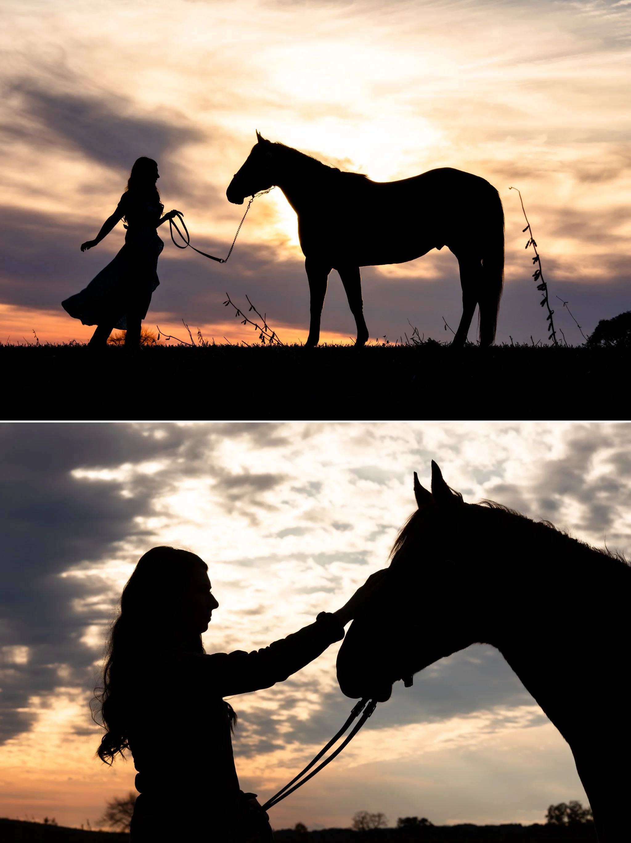 Silhouette Portrait of girl and her horse. Looks like a fairytale.