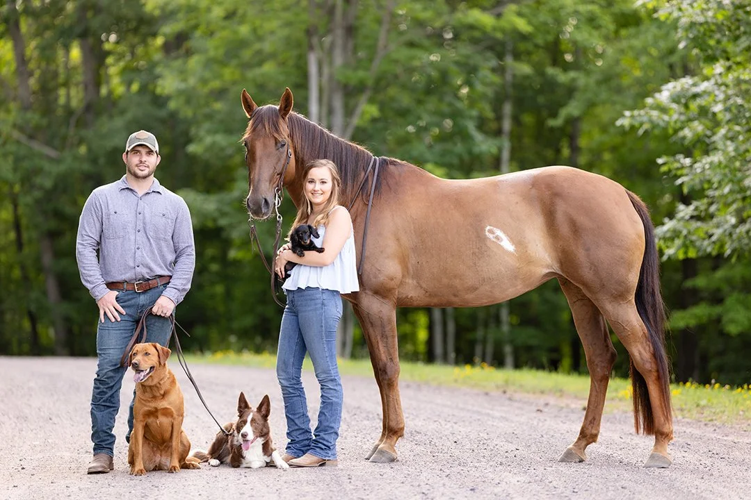 Couple posing with their chestnut horse and two dogs during a relaxed equestrian family portrait session on a country road in Wisconsin.