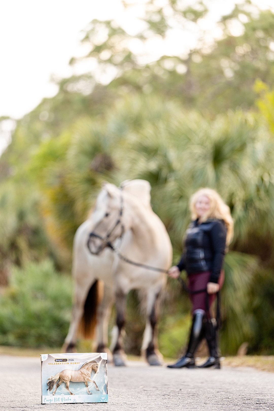Breyer Celebration Horse 2026 model of Corgi Hill Flinka photographed with the real Norwegian Fjord mare in Wellington Florida