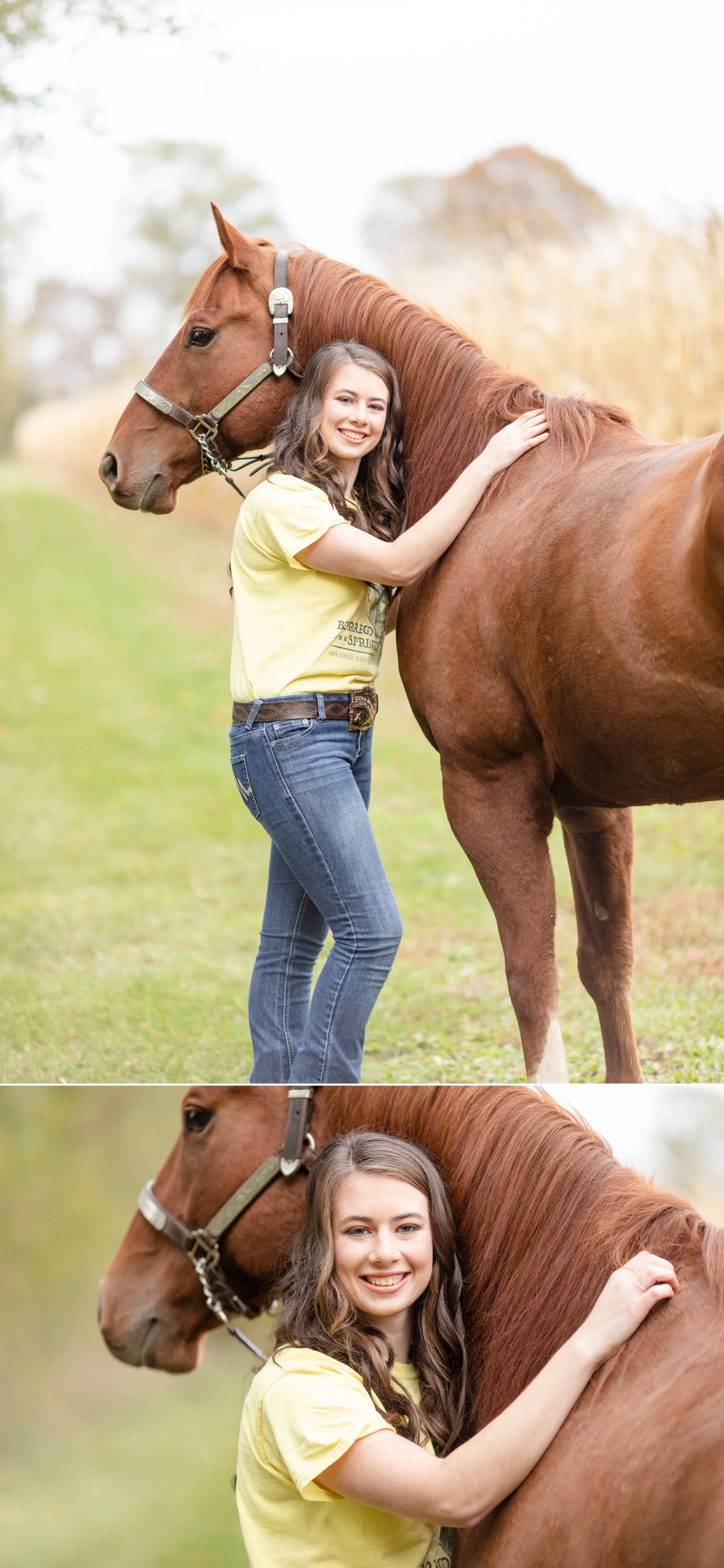 Chestnut quarter horse gelding and his owner posing for senior pictures by cornfield