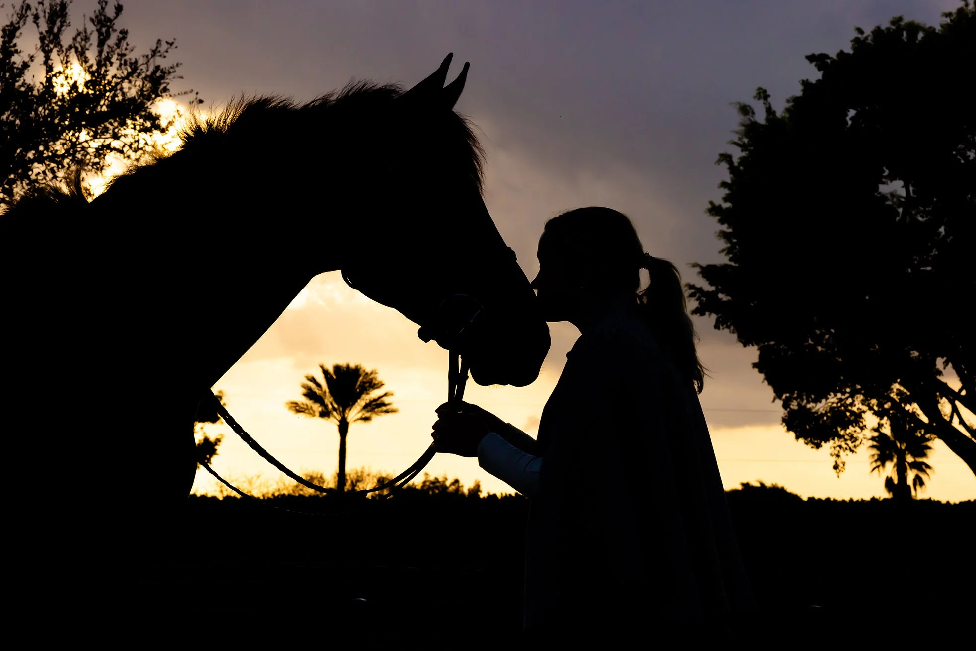 Horse & Rider Portraits in Wellington, FL | Fine Art Equestrian Photography