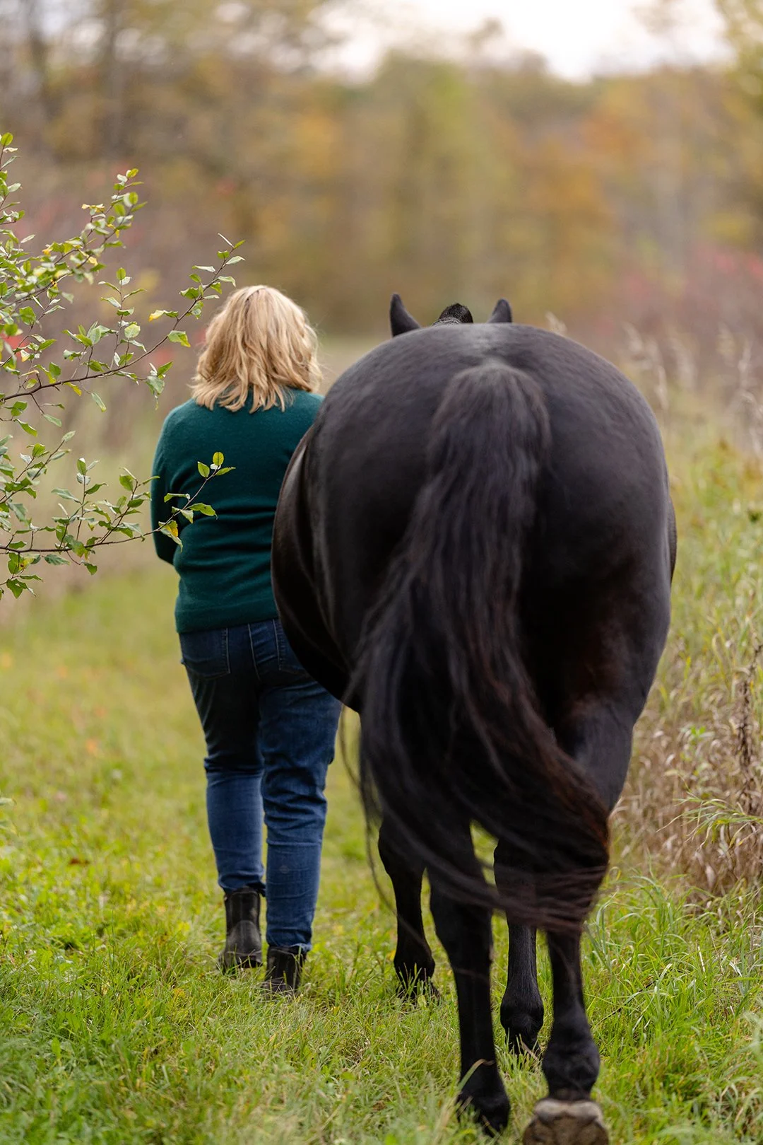 Julie walks alongside her dressage horse on a wooded path during a fall equine portrait session near Plymouth, Wisconsin.