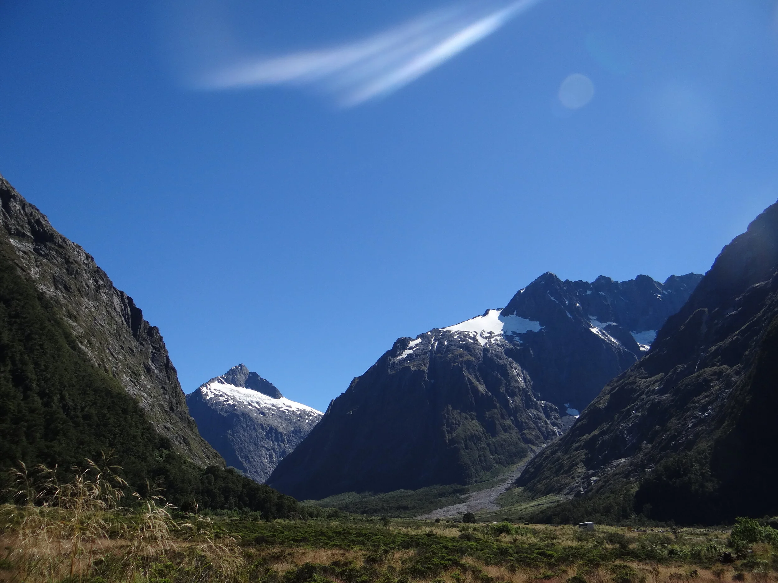 Look Up (Franciska Coleman)