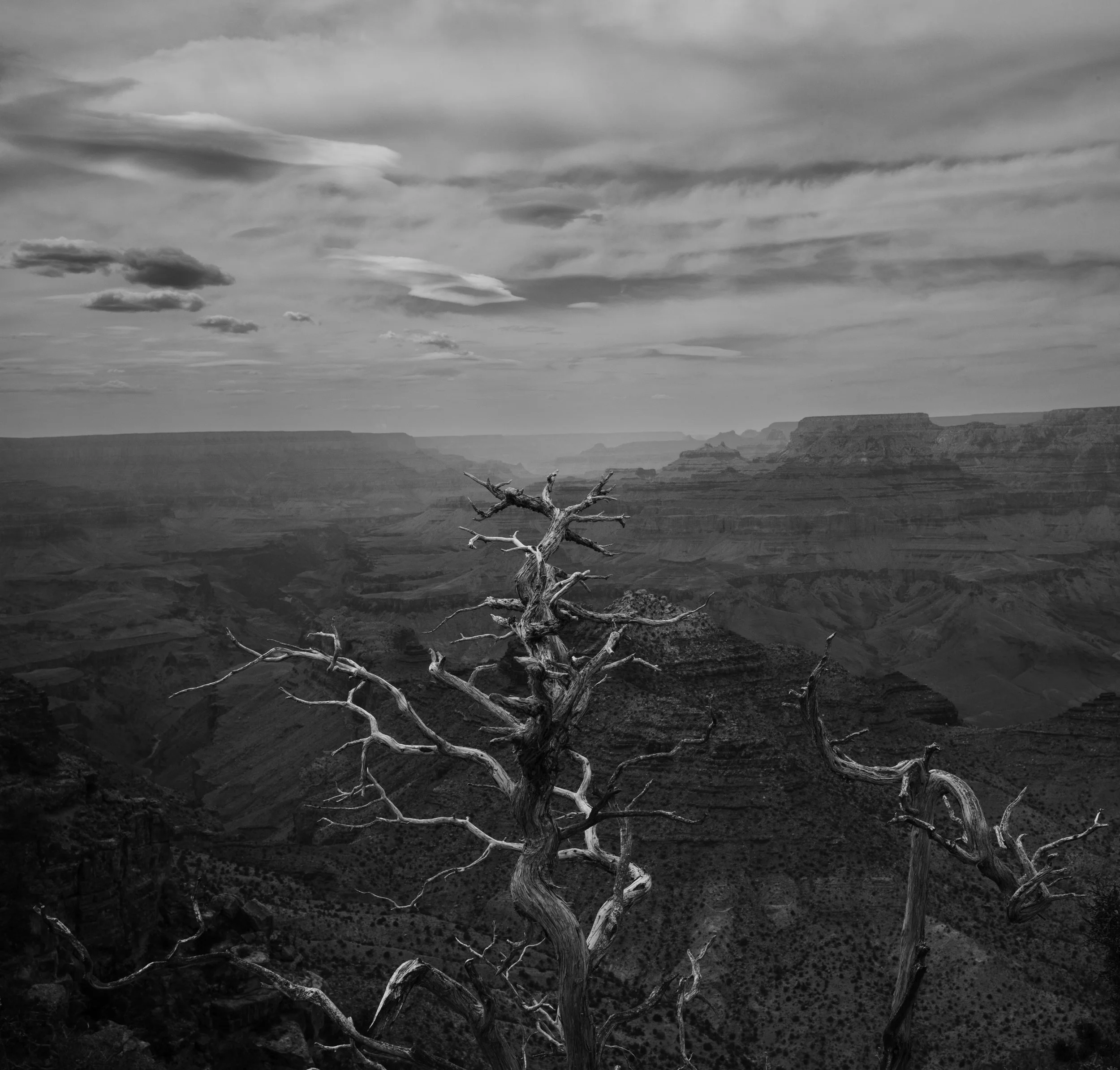 L1001067-1.jpg