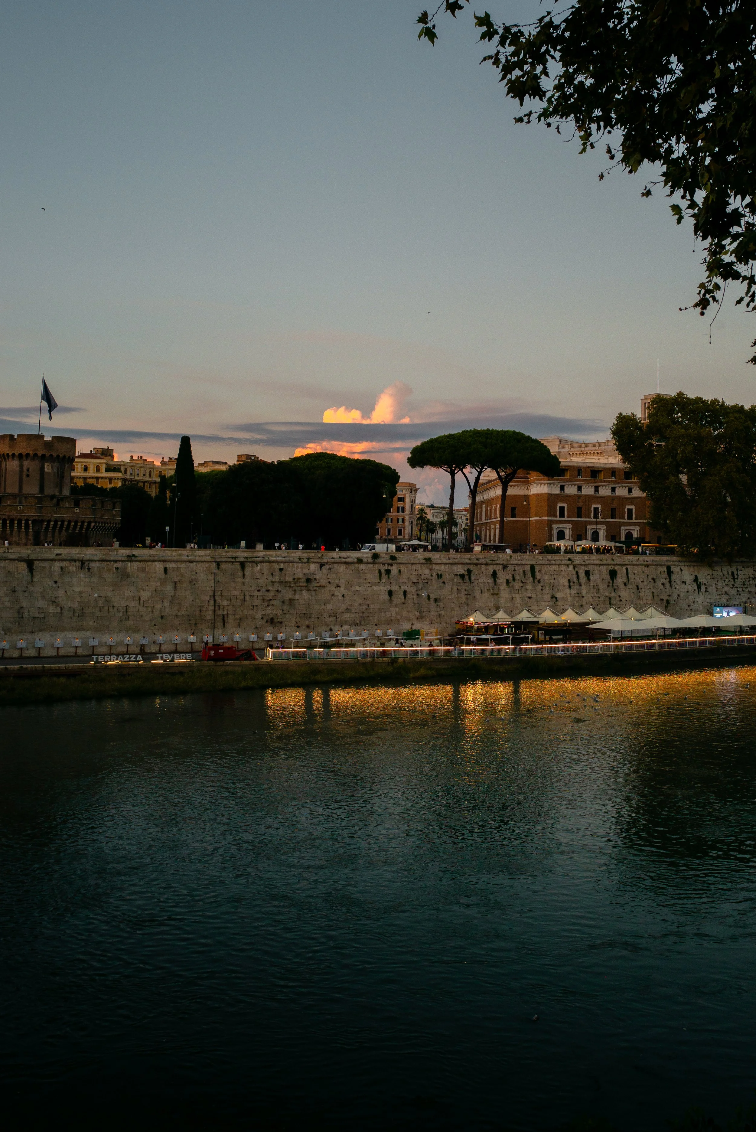 L1004026-1.jpg
