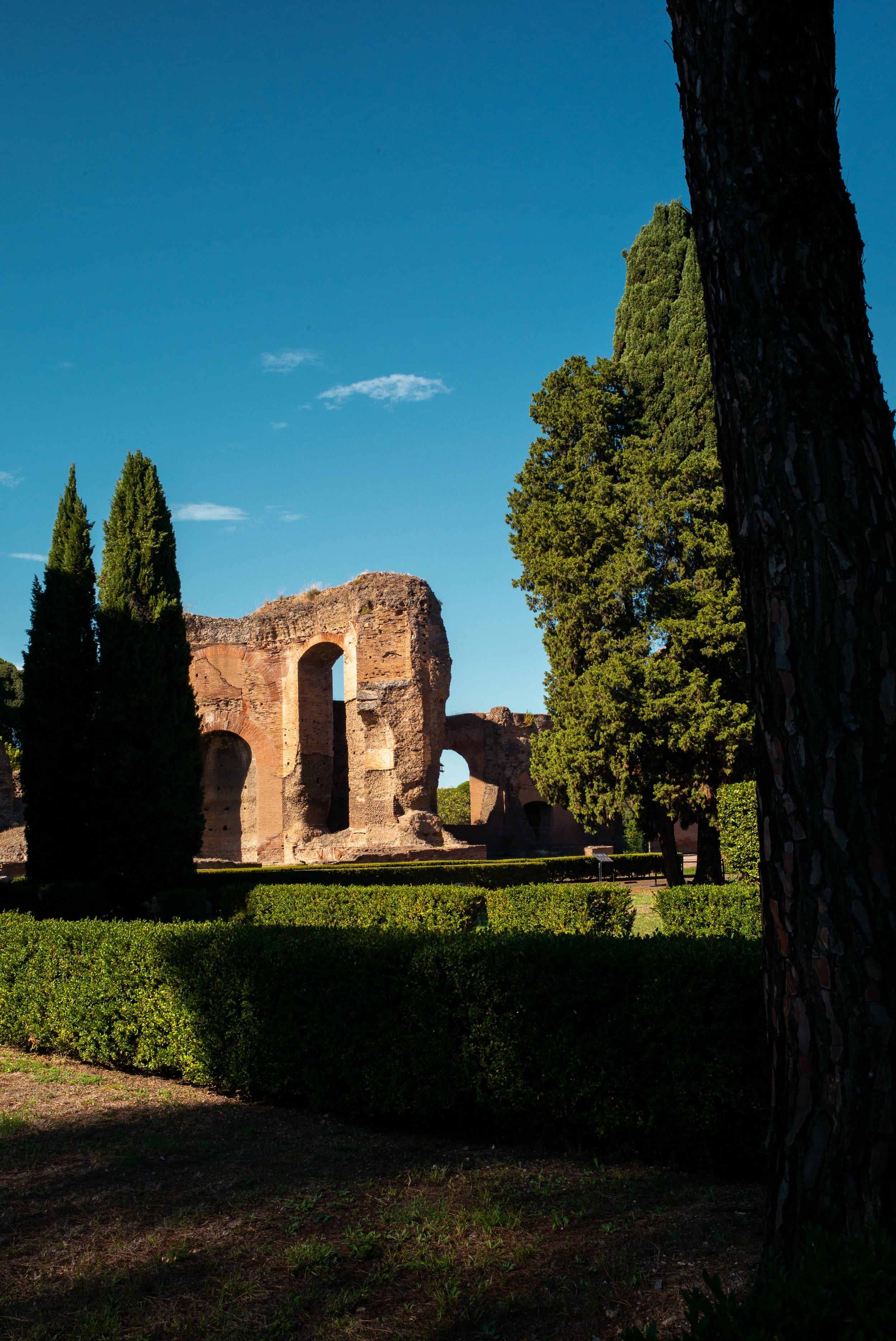 L1004369-1.jpg