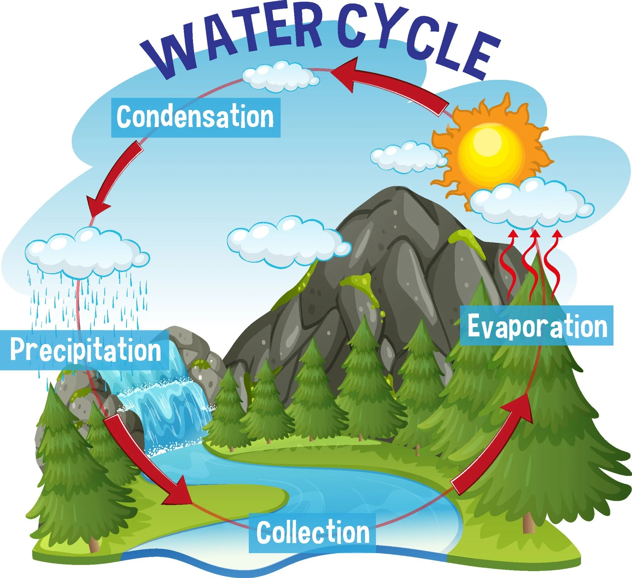 Did you know the same water on Earth today is the same water that existed millions of years ago? 🌎💧

Every drop you drink has been part of the planet&rsquo;s natural cycle, from ancient oceans to mountain rain to your glass.

Clean, safe water trul