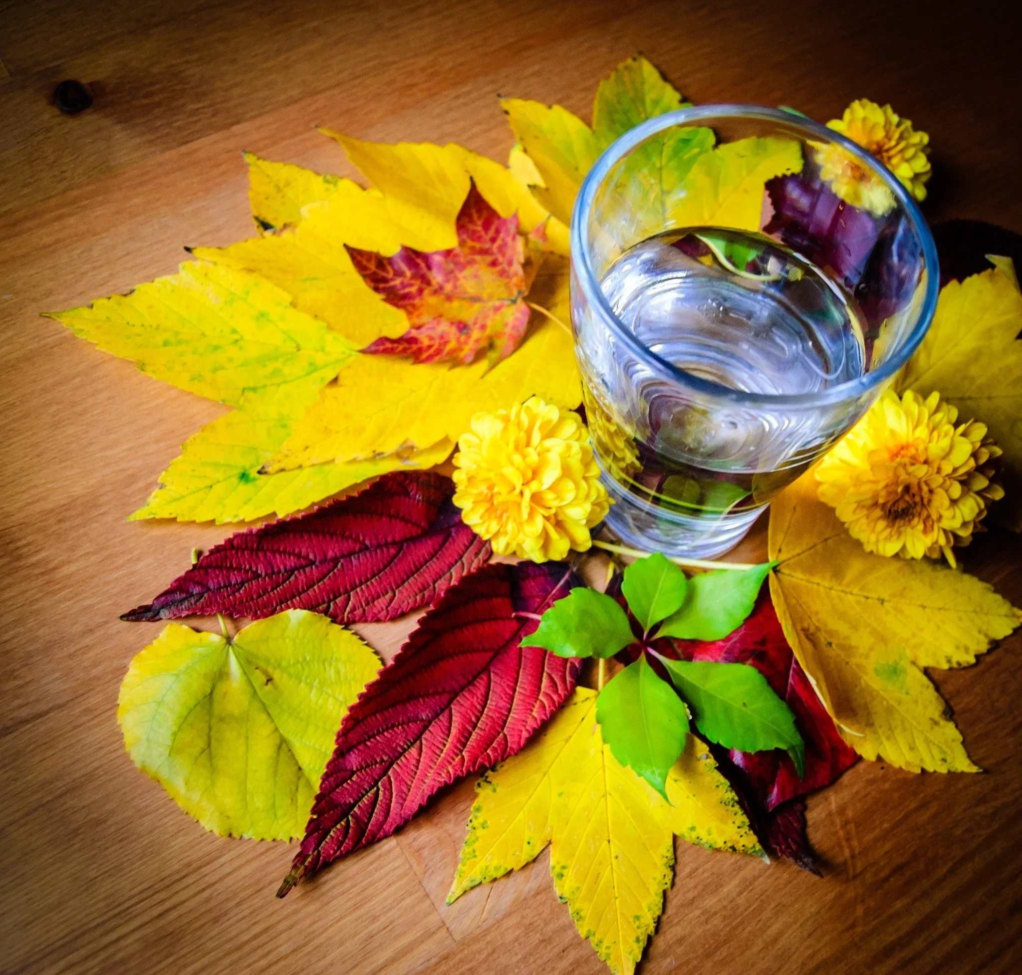 After a busy weekend, take a moment to slow down, sip some water, and breathe deep. 💙

Staying hydrated helps you feel your best,  especially heading into the holiday week! 

#MindfulMonday #StayHydrated #ThankfulWeek