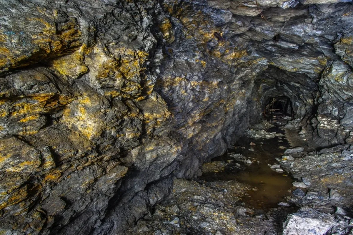 Did you know scientists once discovered water that&rsquo;s over 2 billion years old&hellip; and actually tasted it? 🤯

Hidden deep underground in Canada, this ancient water had been sealed off from the surface for billions of years. When researchers