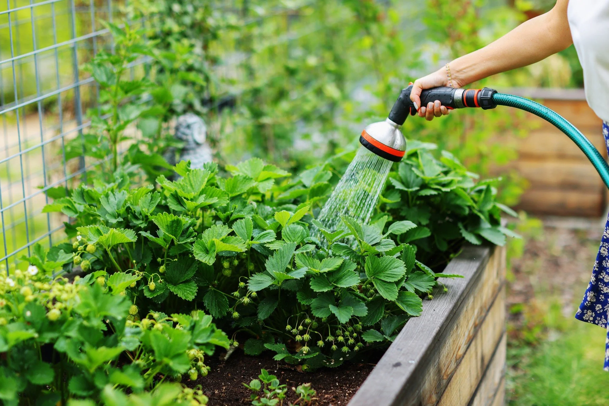 ⭐ Tip Tuesday ⭐

Spring is in full bloom so.... make sure your water use is, too!

As temperatures warm up, lawns and gardens start needing more water. But before you turn on the hose, check this:

💧 Water early in the morning or later in the evenin