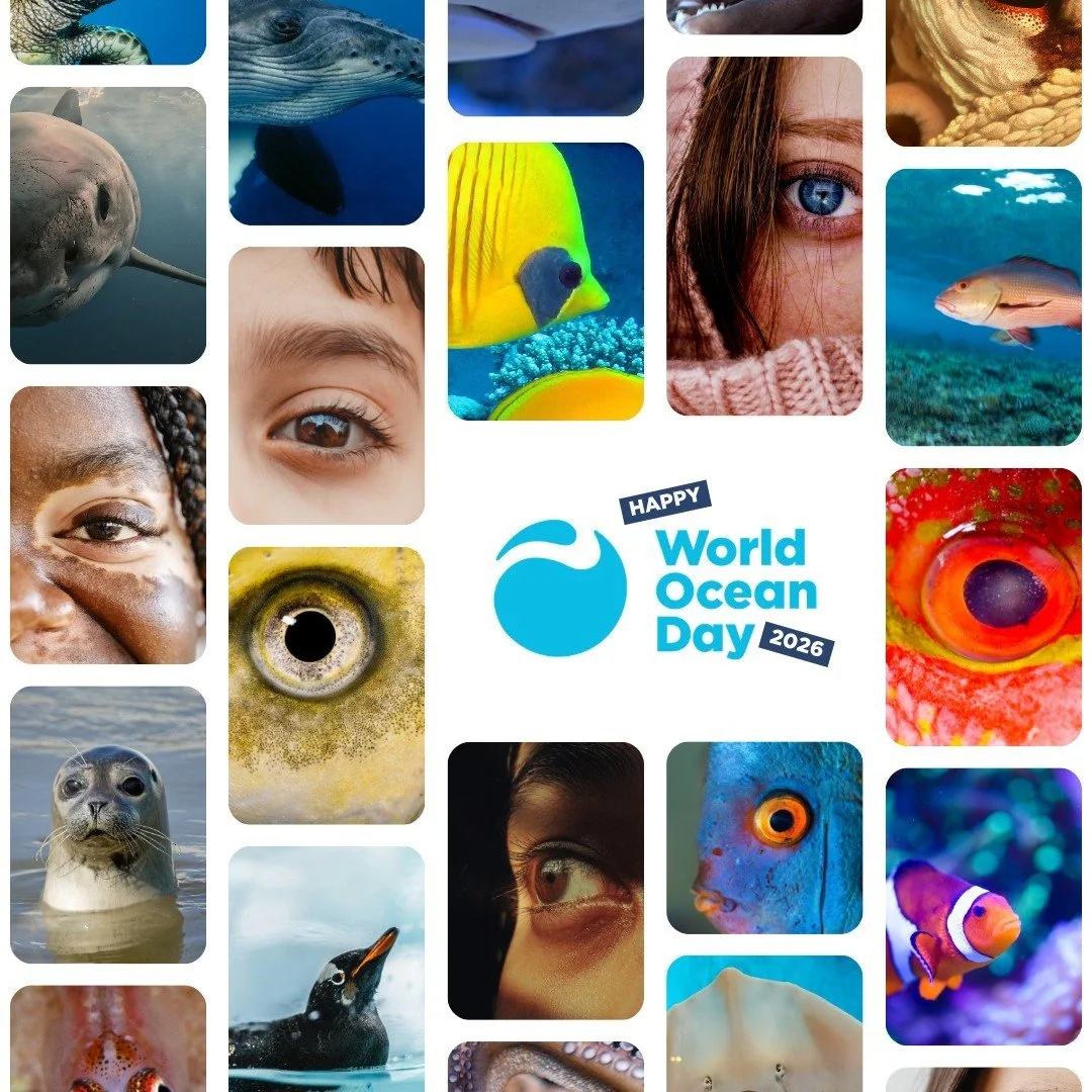 Today we celebrate World Ocean Day, a reminder of the role our oceans play in sustaining life on Earth. Oceans produce more than half of the world's oxygen, regulate our climate, and provide food and livelihoods for billions of people.

Even small ac