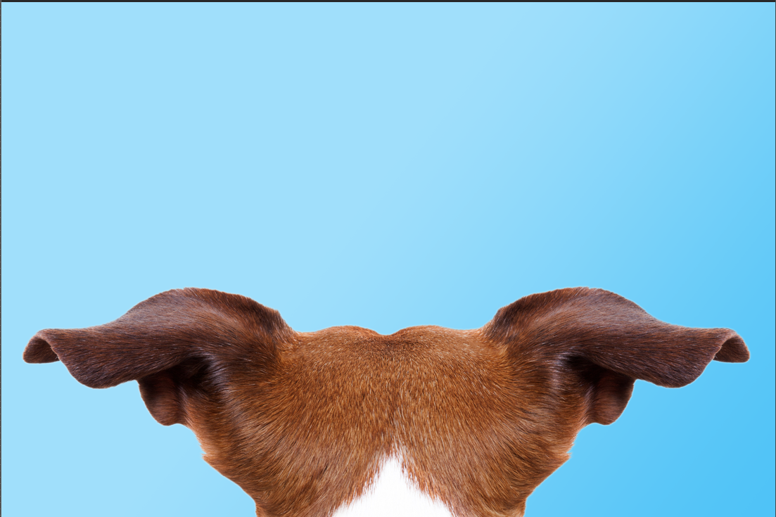 Screen Shot 2018-02-03 at 3.06.14 PM.png