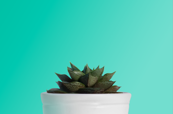 Screen Shot 2018-02-03 at 5.03.56 PM.png