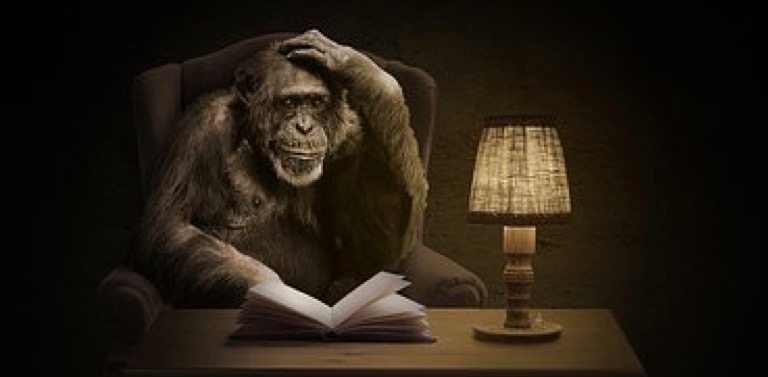 Monkey with Book 2.jpg