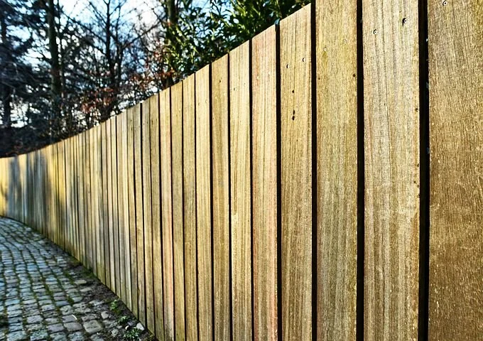 fence-3142506__480.jpg