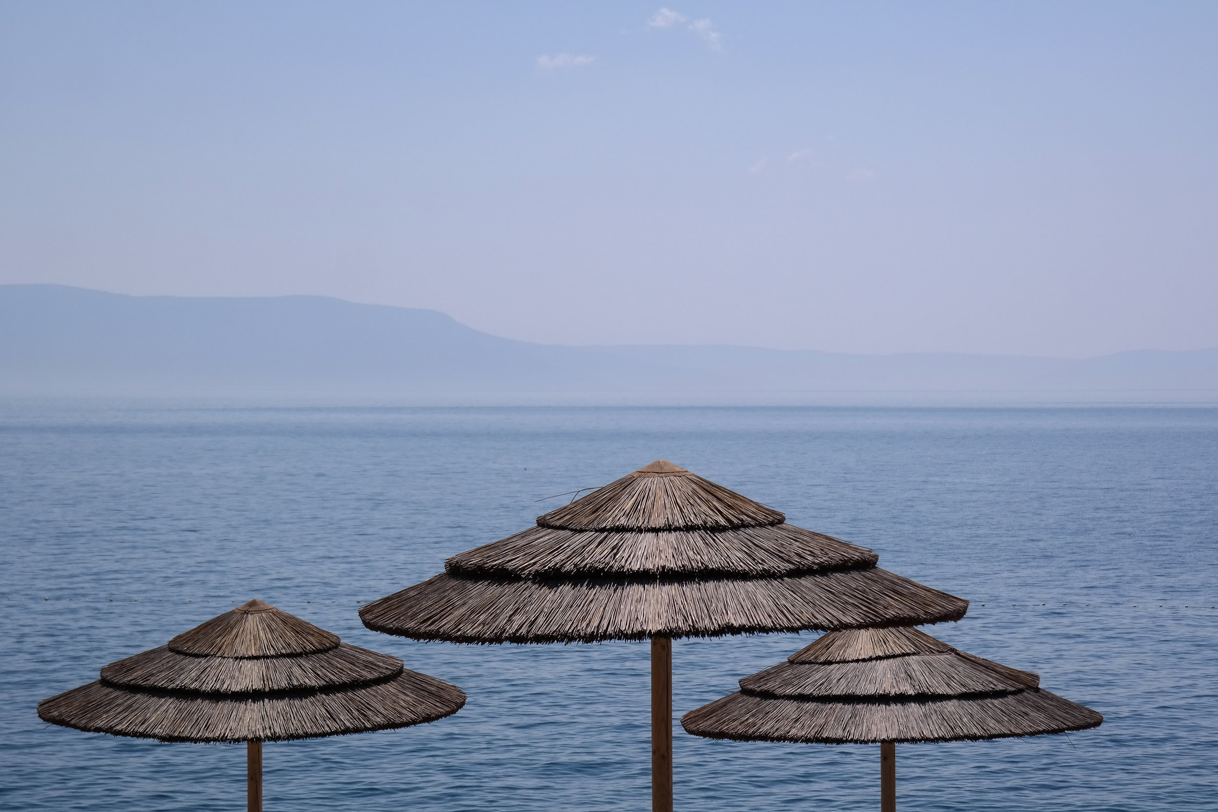 Image by A Fox on Unsplash