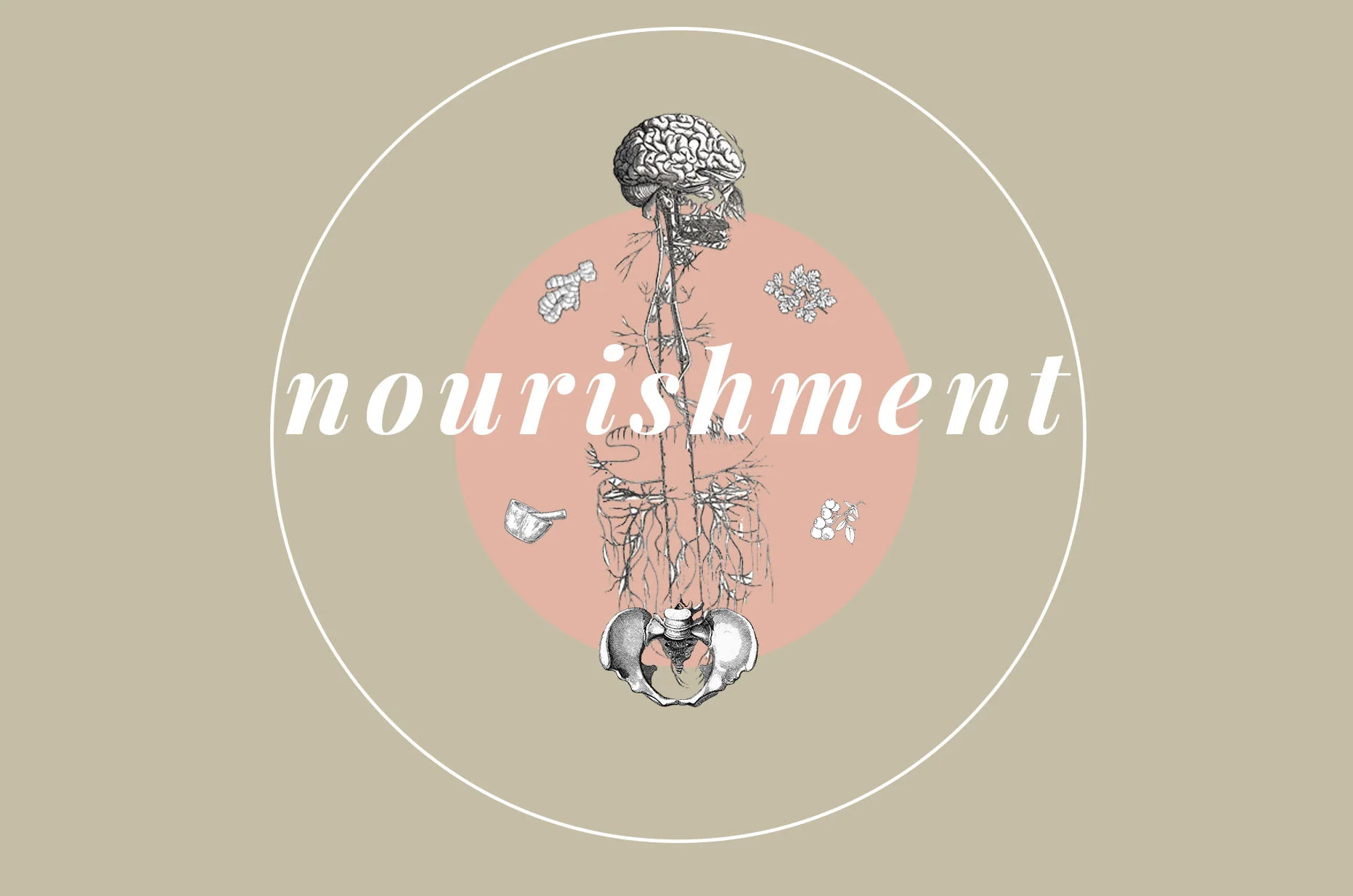 nourishment.jpg