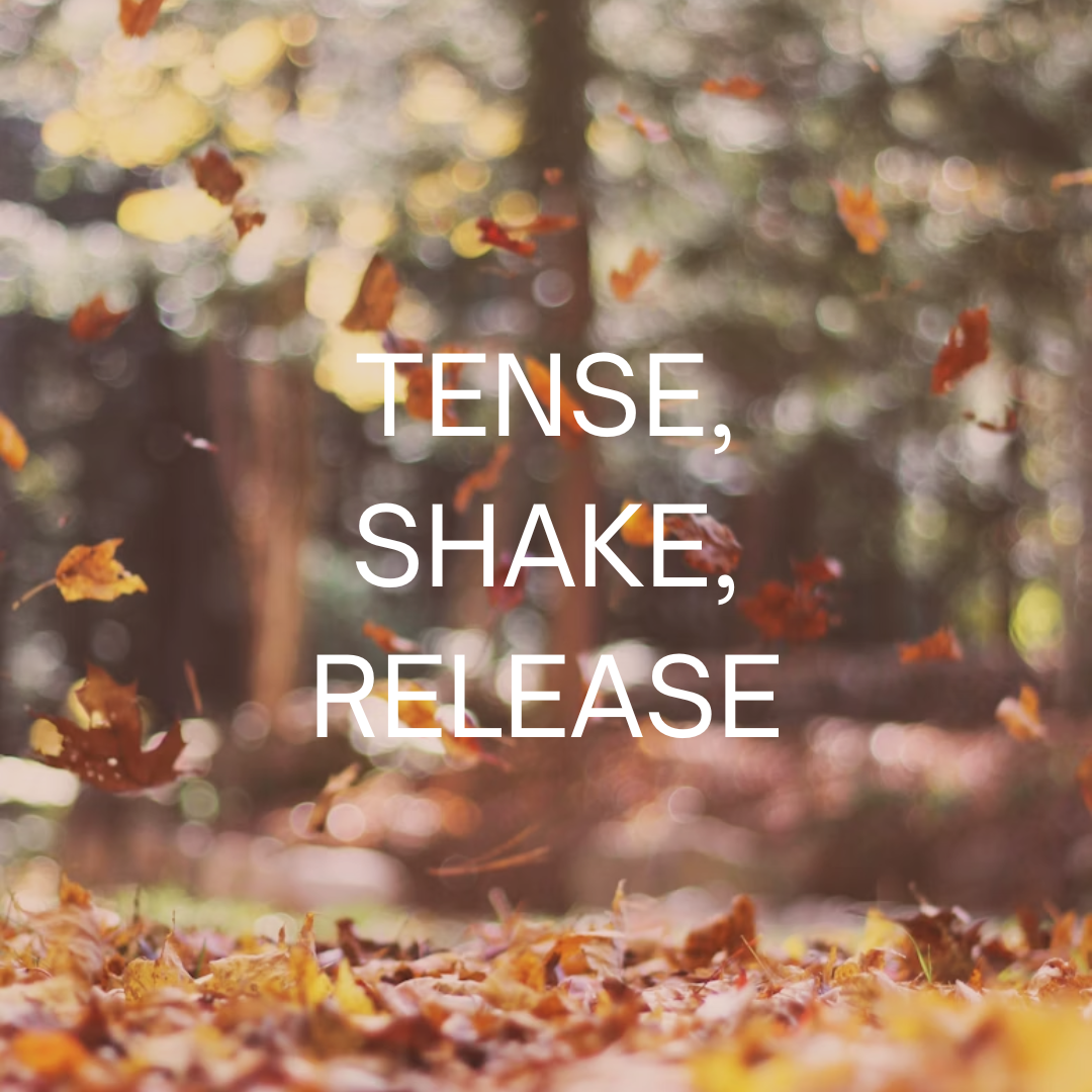 BIOBT PRACTICE LIBRARY - 2025 (13).png