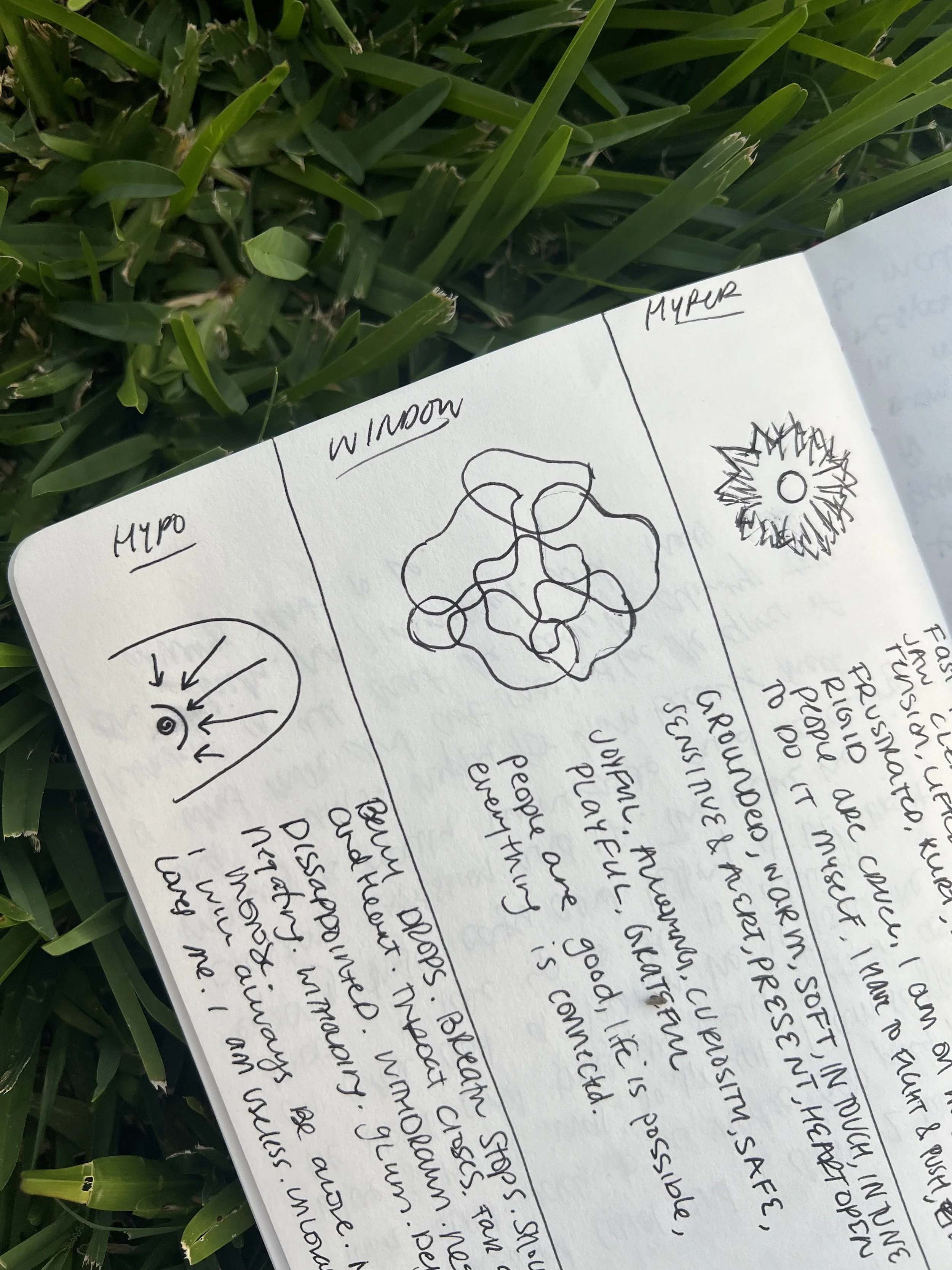 Nervous System Mapping Workshop