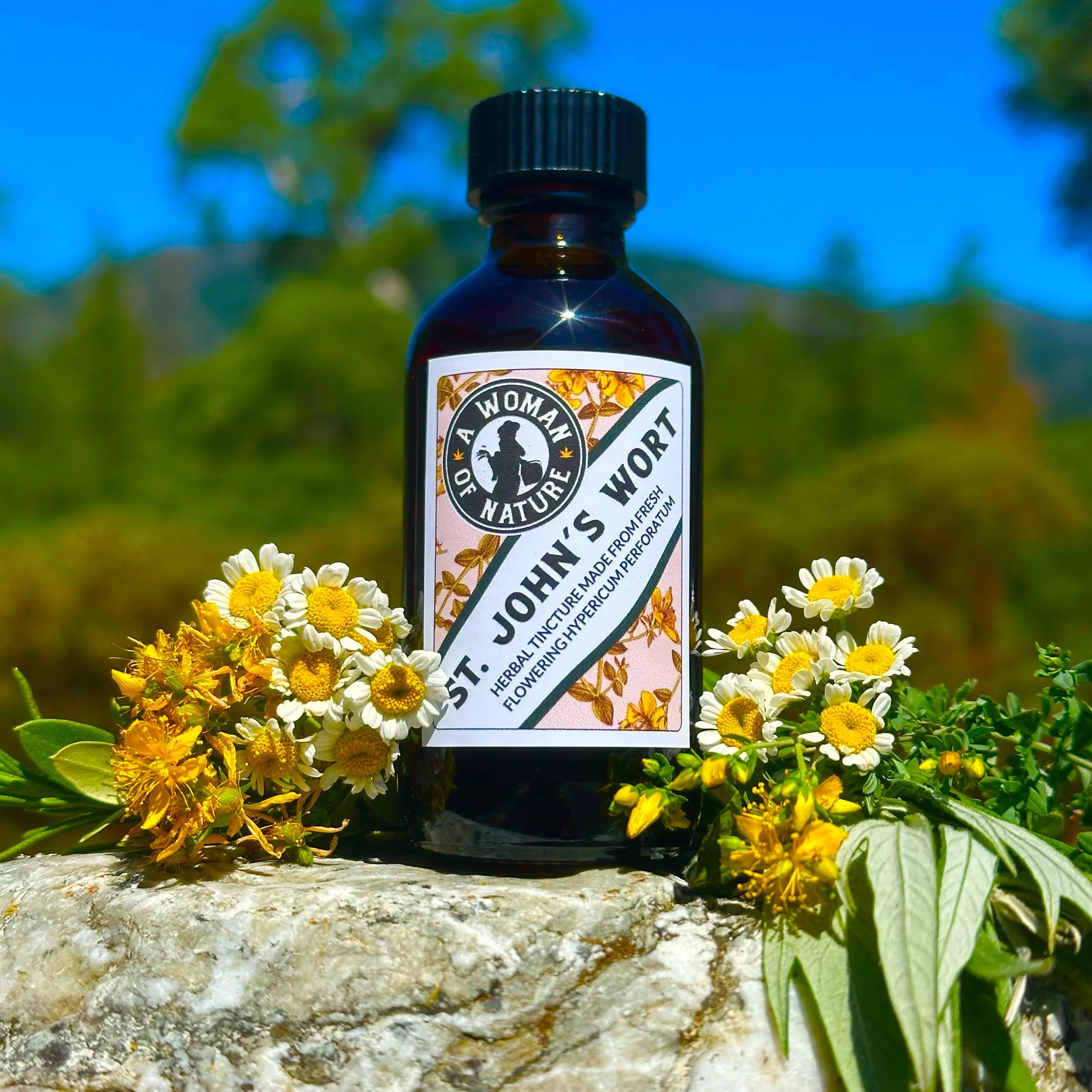 St. John's Wort Extract • Mood Nerve & Muscle Pain