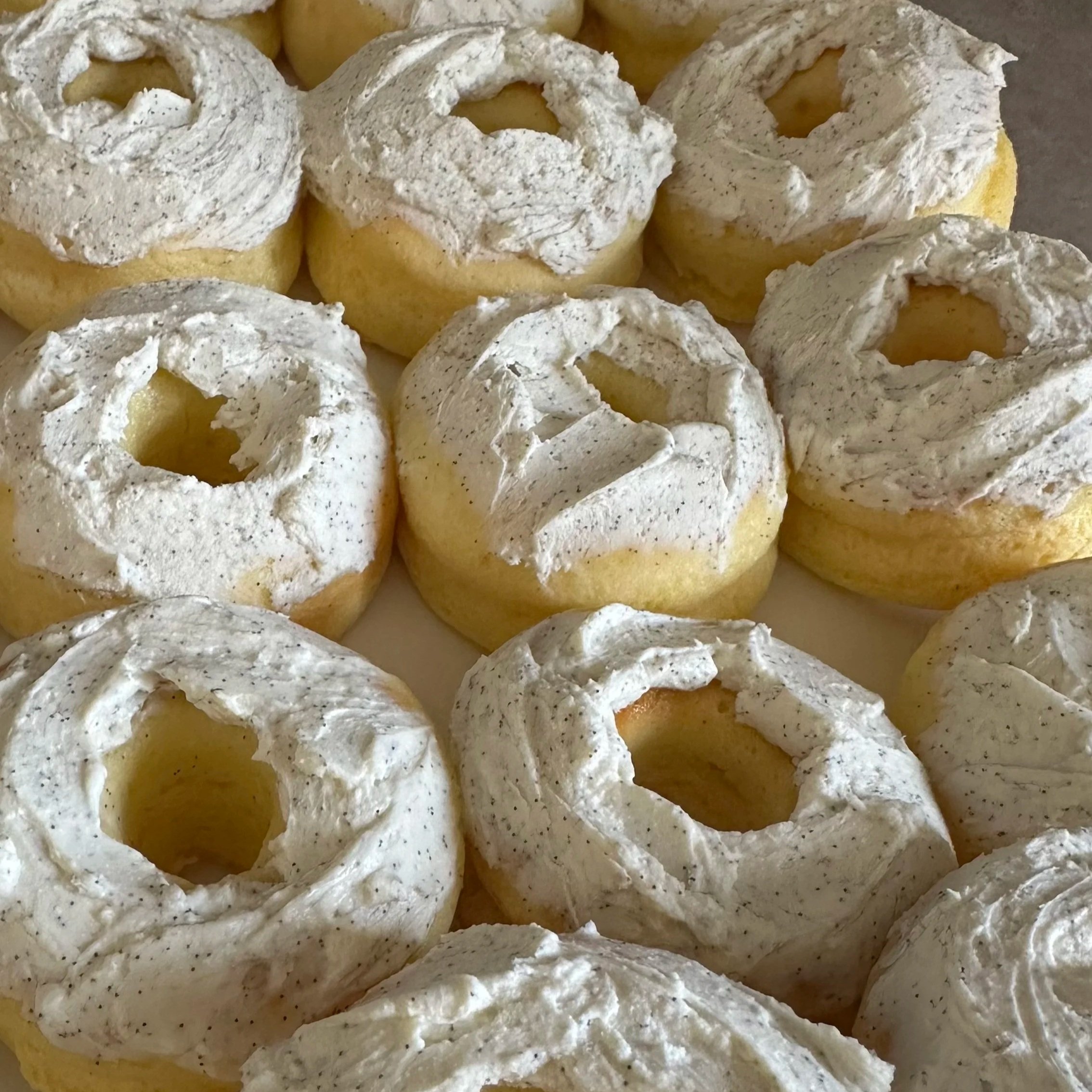 My 72 Hour Water Fast— The WHOLE LONG story!